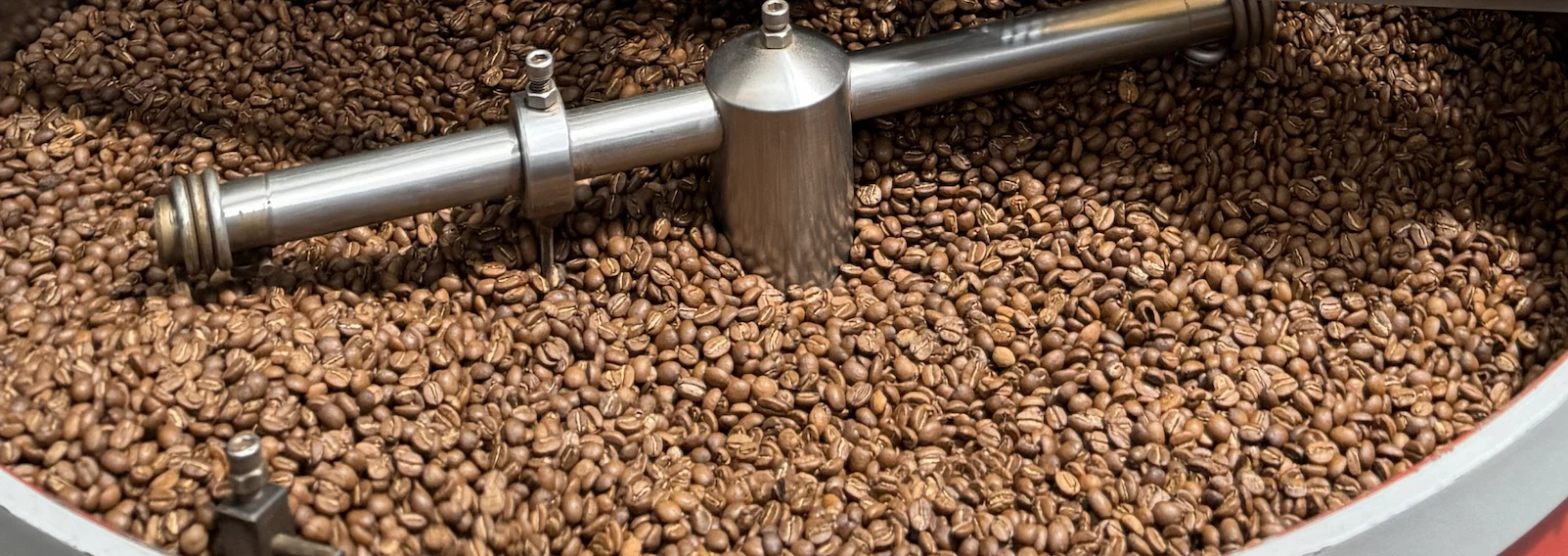 Pardos Coffee - Finca Casa Blanca, Santander